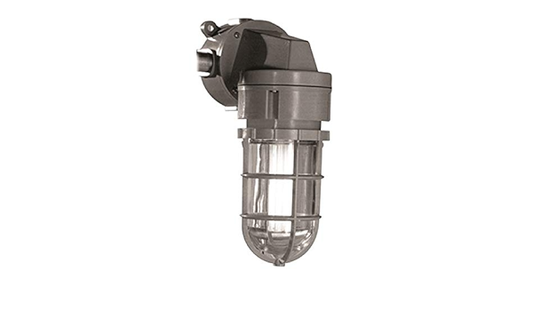 Phoenix Non-Metallic Vaporproof Incandescent Fixture