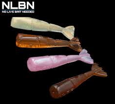 NLBN -  Shrimp